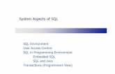 System Aspects of SQL - inf.fu-berlin.de · 2 FU-Berlin, DBS I 2006, Hinze / Scholz SQL Environment: Introduction SQL server Supports operations on database elements Typically runs
