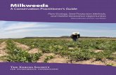 A Conservation Practitioner’s Guide - United States … Xerces Society for Invertebrate Conservation 1 Milkweeds A Conservation Practitioner’s Guide Plant Ecology, Seed Production