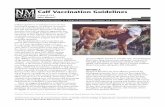 Calf Vaccination Guidelines - College of Agricultural ...aces.nmsu.edu/pubs/_b/B223.pdf · Calf Vaccination Guidelines. Guide B-223. ... included in most MLV-BRD vaccines ... for