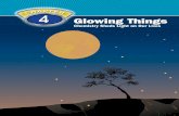 4 Glowing Things - Wikispaces04+Glowing+Things.pdf · Chapter 4 Glowing Things: ... Modern atomic theory uses complicated calculus equations ... What role did light play in changing