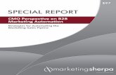 SPECIAL REPORT - MarketingSherpa · SPECIAL REPORT CMO Perspective on B2B ... We asked our CMO respondents in our 2011 B2B Marketing Benchmark Study about the status of their ...