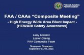 FAA / CAAs “Composite Meeting” - Wichita State University · September 01-04, 2015 . Federal Aviation ... Engineers, OEM, technicians, inspectors with proper training b. ... •