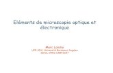 Eléments de microscopie optique et électronique dossier... · Eléments de microscopie optique et électronique Marc Landry UFR SDV, Université Bordeaux Segalen IINS, CNRS UMR