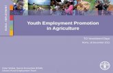 Youth Employment Promotion in Agriculture · Inclusion of rural youth employment aspects in agriculture and rural development ... Facilitating access to credit ... Agriculture, business