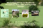 Microalgae Route to Biodiesel: Prospects, Potential and ... · Microalgae Route to Biodiesel: Prospects, Potential and Process Design ... there were algae, but there was no oil Then,