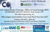 U.S. Department of Energy, Office of Fossil Energy, NETL Library/Events/2016/c02 cap review/5... · U.S. Department of Energy, Office of Fossil Energy, NETL ... paddle wheel mixed