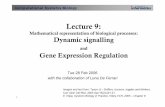 CSB lecture 9 dynamic networks and gene expression · Chapter 12 Biosignaling. Computational Systems Biology 9 Sigmoidal signal-response curve (1) • The sigmoidal case (c) is a