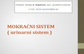 MOKRAĆNI SISTEM ( urinarnisistem )sec.ba/wp-content/uploads/2012/06/4.-Osnove-anatomije-i... · MOKRAĆNI SISTEM ( urinarnisistem ) Predavač: Zorica dr Vujanović, spec. porodične