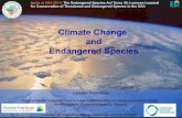 Climate Change and Endangered Species · Climate Change and Endangered Species Ignite at ESA 2013: The Endangered Species Act Turns 40: Lessons Learned for Conservation of Threatened