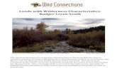 Lands with Wilderness Characteristics: Badger Creek South€¦ ·  · 2018-04-06Lands with Wilderness Characteristics: Badger Creek South. ... approximately 8,100 contiguous acres