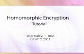 Shai Halevi ― IM CRYPTO 2011 · ryptosystems from *G09, vDGHV10, G11a+ cannot handle their own decryption Tricks to ^squash the decryption procedure, making it low-degree Nontrivial,