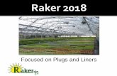 focused On Plugs And Liners - Raker · SS Begonia Promo All listed SS Begonias in 128 and 285 trays Tuberous – Non Stop, NS Mocca, Illumination, etc. B. Boliviensis – Bossa Nova,