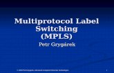 Multiprotocol Label Switching (MPLS) · Multiprotocol Label Switching (MPLS) ... • Standard IP routing protocol used in MPLS routing domain •(OSPF, IS-IS, ... •Forwards labeled