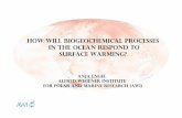 How will biogeochemical processes in the ocean … · How will biogeochemical processes in the ocean respond to ... synthesis report (2007) ... Wohlers et al. (2009) 8°C 4°C 6°C