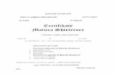 Nr.i amzës: ID e Maturës: Certifikatë Matura Shtetëroregjimnazi18tetori.yolasite.com/resources/Certifikate-2014-V07.pdf · Edukim fizik dhe sporte: 3: 4: ... Nota më e vogël