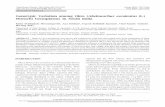 Genotypic Variation among Okra ( Abelmoschus esculentus …cmb.snu.ac.kr/bod1/pds/research/PBB.2016.4.2.234-kishor.pdf · AE-7 Mara Bhendi Khalaghatagi, Karnataka AE-8 Thirumala Local