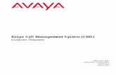 Avaya Call Management System (CMS)support.avaya.com/elmodocs2/multivantage/233823_2/215822...Avaya Call Management System (CMS) Custom Reports Contents Contents 4 Avaya CMS Custom