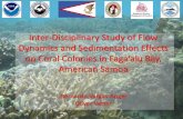 Inter-Disciplinary Study of Flow Dynamics and ... · Inter-Disciplinary Study of Flow Dynamics and Sedimentation Effects on oral olonies in Faga‘alu ay, American Samoa Bernardo