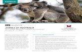 JEWELS OF AUSTRALIA - Holbrook Travel Ohio...JEWELS OF AUSTRALIA ... 800-451-7111 AUSTRALIA Experience the land Down Under with ... hotel to Circular Quay and board your Captain Cook