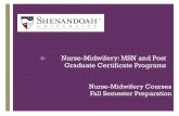 Nurse-Midwifery: MSN and Post Graduate Certificate Programs · + Nurse-Midwifery: MSN and Post Graduate Certificate Programs ... Gyn, Primary Care & Antepartal Care Total: 120 clinic