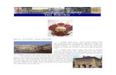 History of Toledo, Spain 540-1936 - media.aeoned.orgmedia.aeoned.org/portal/members/atticadmin/content/2666_two_toledo... · History of Toledo, Spain 540-1936 ... Many of the original