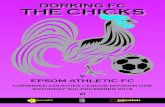 DORKING FC THE CHICKS - Amazon S3 FOX Johnston Sweepers Ltd. Curtis Road, Dorking Surrey, RH4 1XF, UK. Tel: +44 (0)1306 884722 Considered working for a winning team? Johnston Sweepers