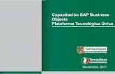Capacitación SAP Business Objects Plataforma …plataformaunica.tamaulipas.gob.mx/wp-content/uploads/2011/11/Capa… · Objetivo Preparar al personal administrativo y funcional del