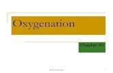 Oxygenation - جامعة آل البيتweb2.aabu.edu.jo/tool/course_file/lec_notes/1001111_oxygenation.pdf · Nursing History (cont'd) Respiratory infections Health risks Medications.