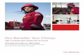Our Benefits, Your Choice - Oilfield Services - Halliburton · Our Benefits, Your Choice: TIME TO CHOOSE WHAT WORKS FOR YOU IN 2018 2018 BENEFITS GUIDE (U.S. EMPLOYEES) Current Employees: