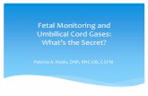 Fetal Monitoring and Umbilical Cord Gases Monitoring and Umbilical Cord Gases: What’s the Secret? ... heart rate monitoring are poorly predictive of neonatal HIE Hypoxic Ischemic