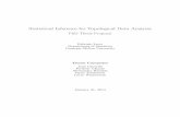 Statistical Inference for Topological Data Analysis · Statistical Inference for Topological Data Analysis PhD Thesis Proposal Fabrizio Lecci Department of Statistics Carnegie Mellon