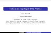 Multivariate Topological Data Analysisacademic.csuohio.edu/bubenik_p/talks/duke.pdf · Multivariate Topological Data Analysis Peter Bubenik Cleveland State University November 20,