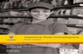 Unpacking Youth Unemployment - UNSW · Unpacking Youth Unemployment ... and professionals delivering services to young people in ... Hill, T., Griffiths, A., & Wong, M. (2015). Unpacking