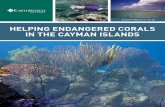 HELPING ENDANGERED CORALS IN THE CAYMAN …earthwatch.org/.../web-earthwatch-teen-helping-endangered-corals... · READ THIS EXPEDITION BRIEFING THOROUGHLY. ... HELPING ENDANGERED