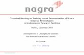 Technical Meeting on Training in and Demonstration of ...€¦ · Disposal Technologies in Underground Research Facilities Vienna, ... (LTD) ¾Long-term ... Overview-Japan-July03-My.ppt