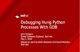 debugging Hung Python Processes With Gdb - Pycon · Solution: use GDB! 13 GDB Basics