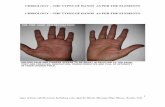CHIROLOGY-THE TYPES OF HANDS - bhavans.info · chirology – the types of hands as per the elements 1 ... hand of sychiatrist oblong ... chirology the water or psyschic shaped hand