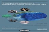An Ecological Characterization of the Stellwagen Bank ...aquaticcommons.org/14584/1/NCCOS TM 45 Cover.pdf · An Ecological Characterization of the Stellwagen Bank National Marine