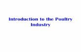 Introduction to the Poultry Industry · it needs while that segment must produce the ... chicks are transported to ... Introduction to the Poultry Industry