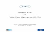 Action Plan of Working Group on SMEs - BSEC Organization · Action Plan of Working Group on SMEs ... focus on the challenges and obstacles faced by ... lack of access to finance,