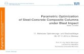 Parametric Optimization of Steel-Concrete Composite ... · Parametric Optimization of Steel-Concrete Composite Columns ... ANSYS AUTODYN MME ... Later optimization analysis only with