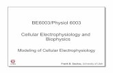 BE6003/Physiol 6003 Cellular Electrophysiology and Biophysicsmacleod/bioen/be6003/notes/W11-final-slides.pdf · BE6003/Physiol 6003 Cellular Electrophysiology and ... • Parameterization