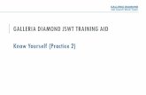 GALLERIA DIAMOND JSWT TRAINING AID Know …€¢ Holland Occupational Themes (RIASEC(T) Theory) • The Birkman Method ... provided in your handout and summarized on the next few slides.