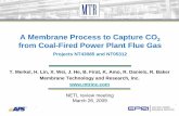 A Membrane Process to Capture CO2 from Coal-Fired … Library/Research/Coal/ewr/co2/5312... · A Membrane Process to Capture CO 2 from Coal-Fired Power Plant Flue Gas ... Flue gas