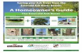 A Homeowner’s Guide - Maryland Department of …mda.maryland.gov/plants-pests/Documents/EAB Homeowners Guide_July...A Homeowner’s Guide Cover Photo: Green Ash, Fraxinus pennsylvanica