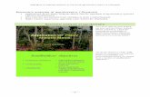 Economic analysis of agroforestry (Suyanto) Part 2c... · Economic analysis of agroforestry (Suyanto) ... history.” “After the ... prior to the Tsunami.” “The question of