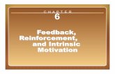 Feedback, Reinforcement, and Intrinsic   Reinforcement, and Intrinsic Motivation C H A P T E R Understanding Feedback and Reinforcement â€¢ Reinforcement