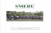 1 Laporan Tahunan 2007 - The SMERU Research Institute · 3 Laporan Tahunan 2007 ... initiated a medium-term research plan. We have identified several research themes that mirror the