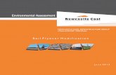 Rail Flyover Modification - NCIG · construction and operation of a CET up to 66 million tonnes per annum (Mtpa), ... NCIG CET - Rail Flyover Modification Environmental Assessment