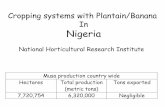 Cropping systems with Plantain/Banana In   systems with Plantain/Banana In Nigeria National Horticultural Research Institute Musa production country wide Hectares Total production